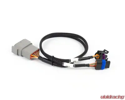 Haltech Cable Throttle w/ IAC sub-harness Nexus Rebel LS - HT-186504