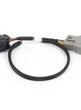 Haltech 6-pin DBW Adaptor Nexus Rebel                                     - HT-186505 - Image 2