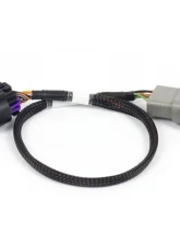 Haltech 8-pin DBW Adaptor Nexus Rebel                                     - HT-186506 - Image 2