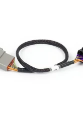 Haltech 8-pin DBW Adaptor Nexus Rebel                                     - HT-186506 - Image 2