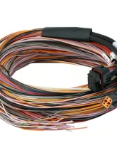 Haltech PD16 PDM w/ Flying Lead Harness 5                                     - HT-198201 - Image 2