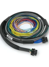 Haltech ECU w/ Universal Wire-in Harness 2.5m (8') Nexus S2                                     - HT-212200 - Image 3