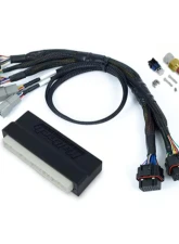 Haltech Nexus S2 Plug 'n' Play Adapter Harness Kit Nexus S2 Honda EP3 2002-2005                                     - HT-212302 - Image 3