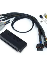 Haltech Nexus S2 Plug 'n' Play Adapter Harness Kit - Honda S2000 (AP1 / AP2 ) 2000-2005                                     - HT-212314 - Image 3