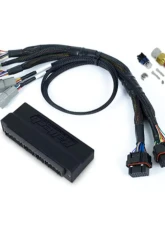 Haltech Plug 'n' Play Adapter Harness Kit Nexus S3 Mazda RX7 FD S6 1992-1995                                     - HT-213307 - Image 3