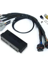Haltech Nexus S3 Plug 'n' Play Adapter Harness Kit - Nissan Skyline R34 GT-T                                     - HT-213309 - Image 3