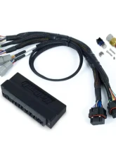 Haltech Plug 'n' Play Adapter Harness Kit Nexus S3 Honda S2000 (AP1 / AP2 ) 2000-2005                                     - HT-213314 - Image 3