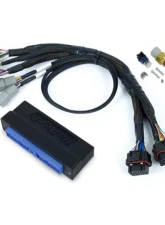 Haltech Nexus S3 Plug 'n' Play Adapter Harness Kit - Nissan Silvia S13 SR20                                     - HT-213315 - Image 3