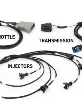 Haltech ECU Suits Gen III Nexus Rebel LS                                     - HT-220201 - Image 2