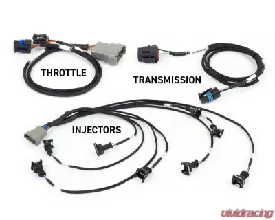 Haltech ECU Suits Gen III Nexus Rebel LS - HT-220201