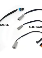 Haltech ECU Suits Gen III Nexus Rebel LS                                     - HT-220201 - Image 3