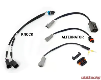 Haltech ECU Suits Gen III Nexus Rebel LS - HT-220201