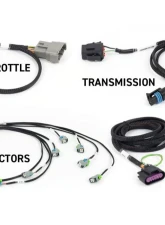 Haltech ECU Harness Kit Suits Gen IV NEXUS Rebel LS                                     - HT-220204 - Image 2