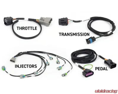 Haltech ECU Harness Kit Suits Gen IV NEXUS Rebel LS - HT-220204