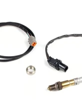 Haltech Nexus Plug-In ECU w/ LSU4.9 Wideband Hardware Pack Mazda RX-8 Series 1 2003-2008                                     - HT-231402 - Image 3