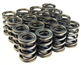Blox Racing Valve Springs B18A-B | B20 1.8L-2.0L DOHC
