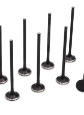 Blox Racing High Compression Exhaust Valve Set D-series SOHC VTEC (D16Z-Y)                                     - BXPT-20251 - Image 5