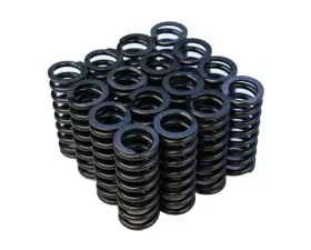 Blox Racing Valve Springs D-series SOHC VTEC D16Z-Y (1.6L SOHC VTEC)