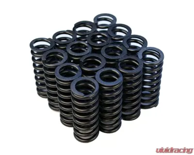 Blox Racing Valve Springs D-series SOHC VTEC D16Z-Y (1.6L SOHC VTEC) - BXPT-20301