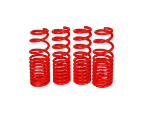 BLOX Racing Lowering Springs Honda Civic 2006-2011