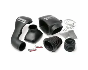 Banks Power Ram-Air Cold-Air Intake System Dry Filter Ford F-150 5.4L 2004-2008