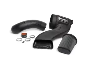Banks Power Ram Air Intake System Dry Filter 15-17 Ford F150 5.0L