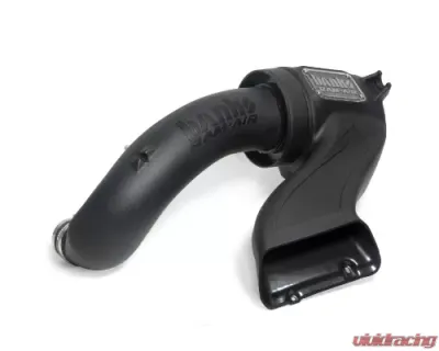 Banks Power Ram Air Intake System Dry Filter 15-17 Ford F150 5.0L - 41888-D