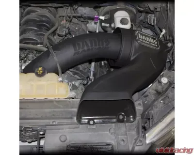 Banks Power Ram Air Intake System Dry Filter 15-17 Ford F150 5.0L - 41888-D