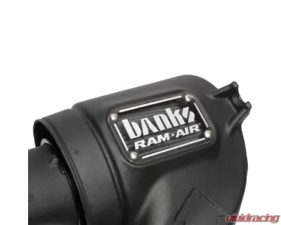Banks Power Ram Air Intake System Dry Filter 15-17 Ford F150 5.0L - 41888-D