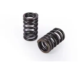 Buddy Club Racing Spec Valve Springs B16/B18 Honda Civic | Acura Integra 1995-2001