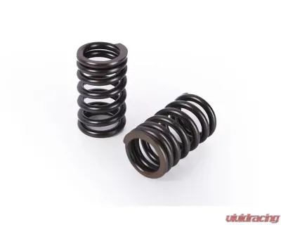 Buddy Club Racing Spec Valve Springs B16/B18 Honda Civic | Acura Integra 1995-2001 - BC05-RSVSH-B