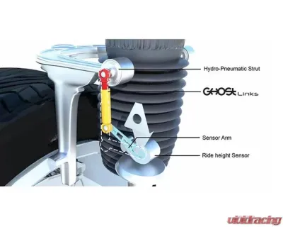 Ghost Motorsports Ghostlinks Lowering Links Audi SQ5 2020 - GLAUQ5FY
