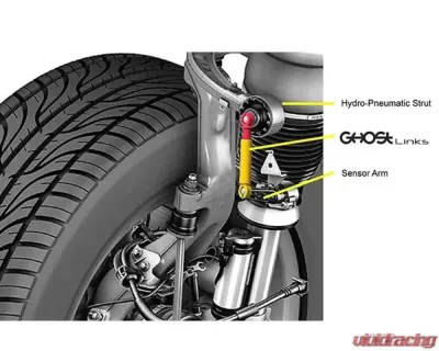 Ghost Motorsports Ghostlinks Lowering Links Audi SQ5 2020 - GLAUQ5FY