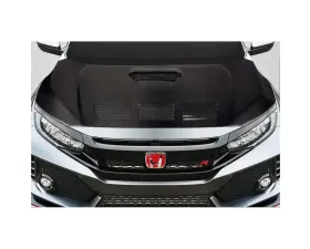 2017-2021 Honda Civic TypeR Carbon Creations EVS Hood - 1 Piece