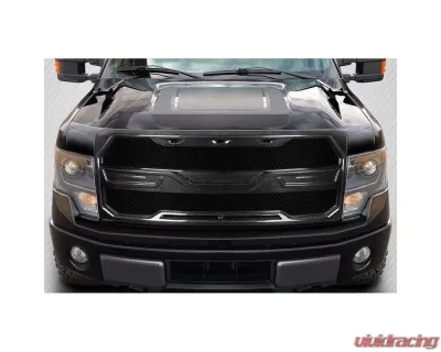 2009-2014 Ford F-150 Carbon Creations Rage Grille - 1 Piece - 117197