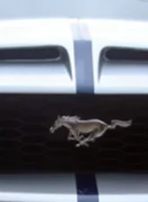 2005-2009 Ford Mustang Duraflex GT500 Hood - 1 Piece                                     - 104717 - Image 2