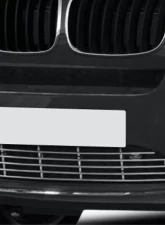 2008-2014 BMW X6 E71 AF-1 Bumper Grille ( Metal ) - 1 Piece (S)                                     - 107553 - Image 4
