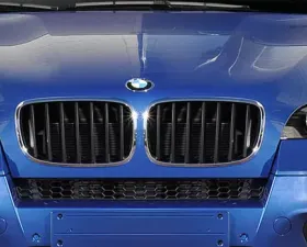 2007-2013 BMW X5 E70 Urethane AF-1 Front Bumper Cover Upper Grille Insert ( PUR-RIM ) - 1 Piece (S)