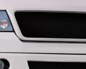 2004-2008 Ford F-150 Duraflex Super Snake Look Grille - 1 Piece