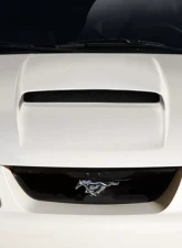 1999-2004 Ford Mustang Duraflex CVX Version 2 Hood - 1 Piece                                     - 113345 - Image 7
