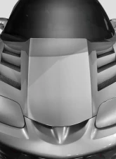 1998-2002 Pontiac Firebird / Trans Am Duraflex AM-S Hood - 1 Piece                                     - 113365 - Image 9