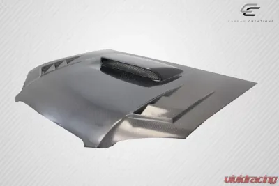 2004-2005 Subaru Impreza WRX STI Carbon Creations DriTech TS-1 Hood - 1 Piece - 114019