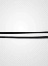 2006-2010 Lexus IS Series IS250 IS350 Carbon Creations MSR Side Skirts Rocker Panels - 2 Piece                                     - 115282 - Image 4