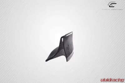1999-2005 BMW 3 Series E46 4DR Carbon Creations RBS Wing Spoiler - 1 Piece - 115516