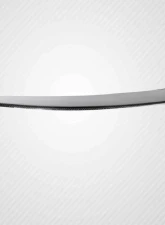 2011-2012 BMW 1M Coupe E82 Carbon Creations M Tech Front Splitter - 1 Piece                                     - 115693 - Image 4