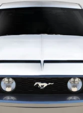 2005-2009 Ford Mustang Duraflex GT500 V4 Hood - 1 Piece                                     - 115791 - Image 8