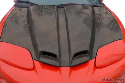 1998-2002 Pontiac Firebird Carbon Creations WS-6 Hood - 1 Piece - 103622