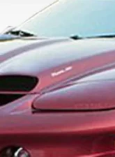 1998-2002 Pontiac Firebird Trans Am Duraflex WS-6 Hood - 1 Piece                                     - 103062 - Image 3