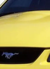 1999-2004 Ford Mustang Duraflex Cobra R Hood - 1 Piece                                     - 104709 - Image 2