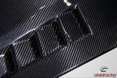 2008-2017 Mitsubishi Lancer / Lancer Evolution 10 Lancer Carbon Creations DriTech Race Hood - 1 Piece - 114017